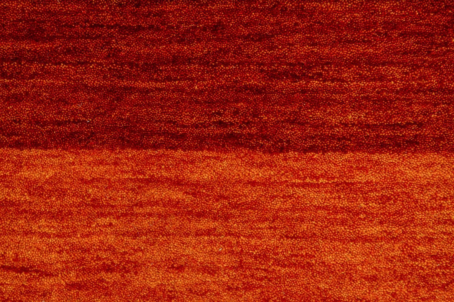 116117Hemilio300x200