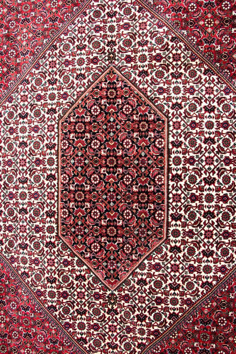 Perserteppich - Bidjar - Royal 310 x 250 cm