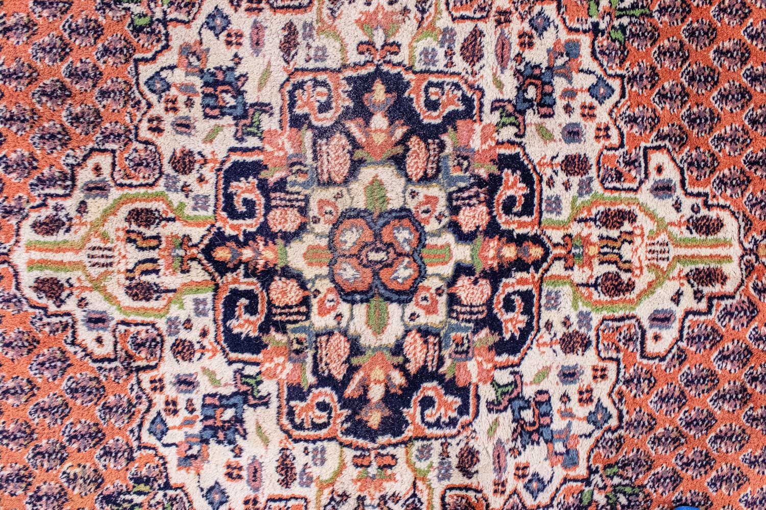 Orientteppich 242 x 170 cm