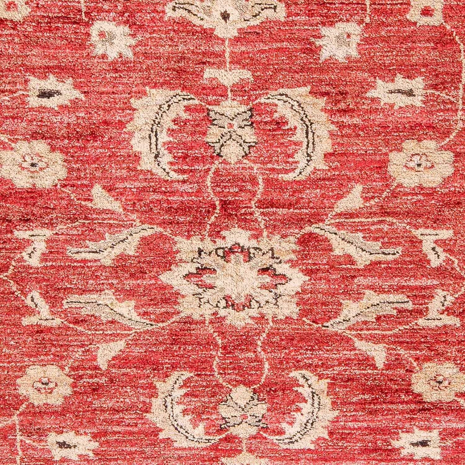 Ziegler Teppich 327 x 239 cm