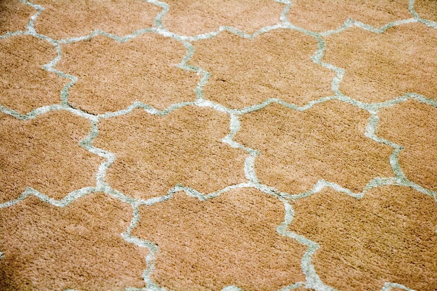 Wollteppich 244 x 155 cm Teppich Wohnzimmer