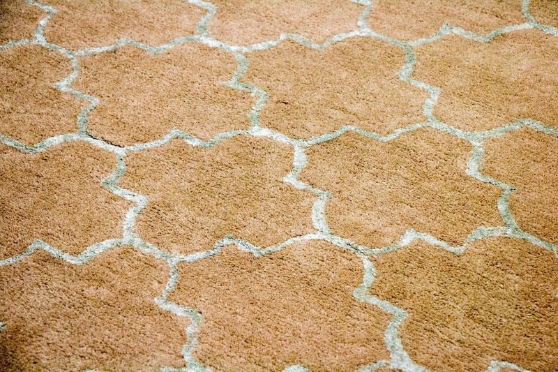 Wollteppich 244 x 155 cm Teppich Wohnzimmer
