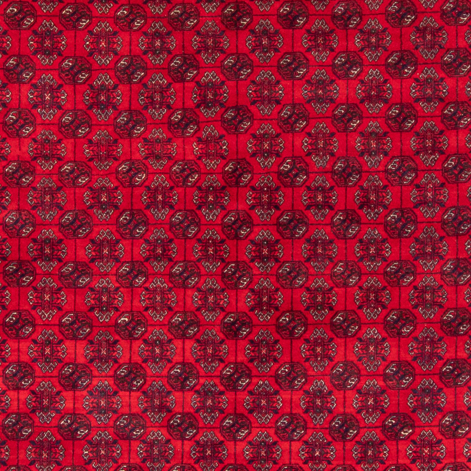 Afghan Teppich - Buchara - 290 x 196 cm - rot