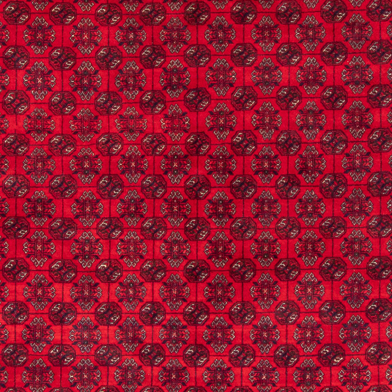 Afghan Teppich - Buchara - 290 x 196 cm - rot