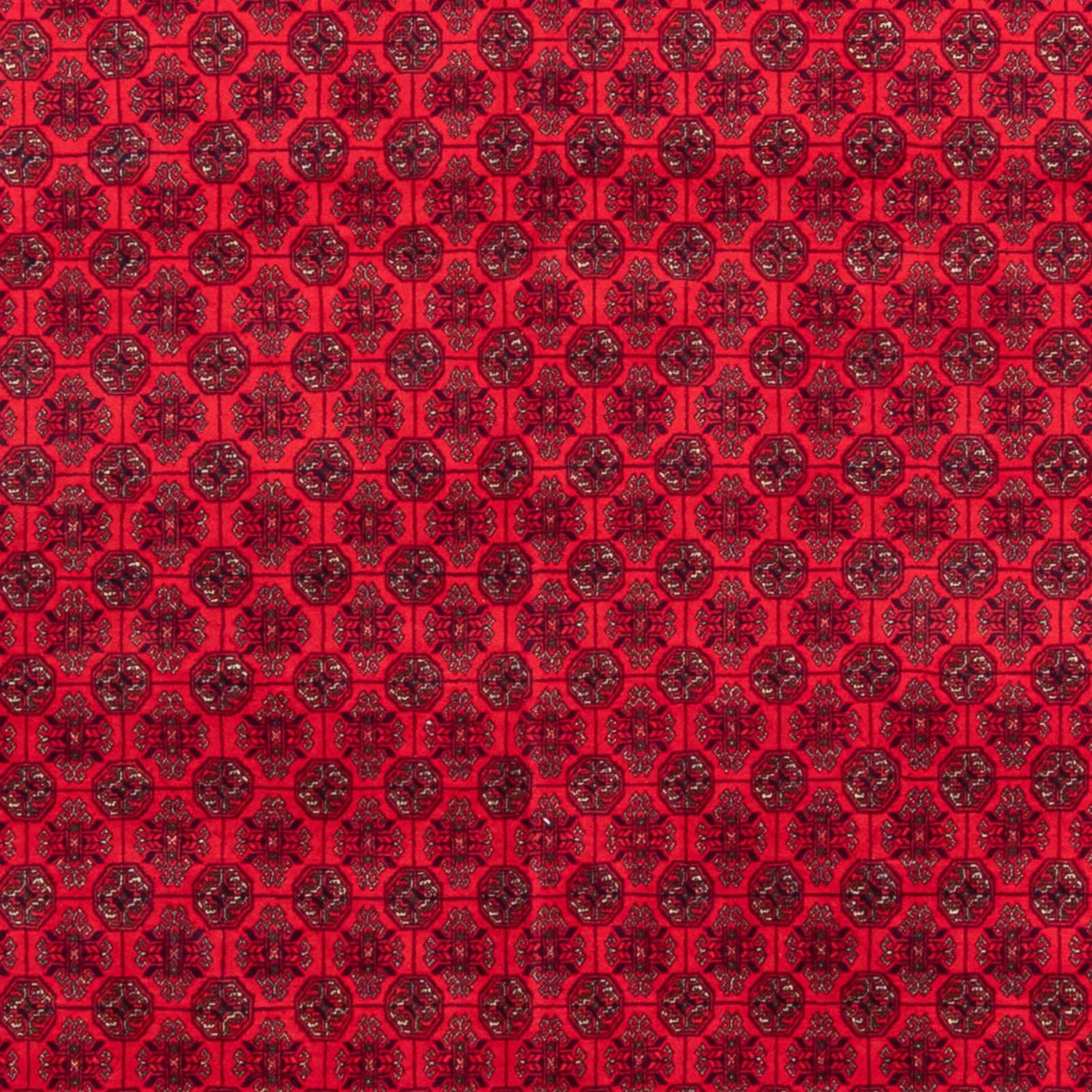 Afghan Teppich - 295 x 194 cm - rot