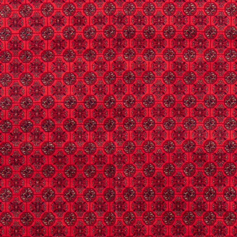 Afghan Teppich - 295 x 194 cm - rot