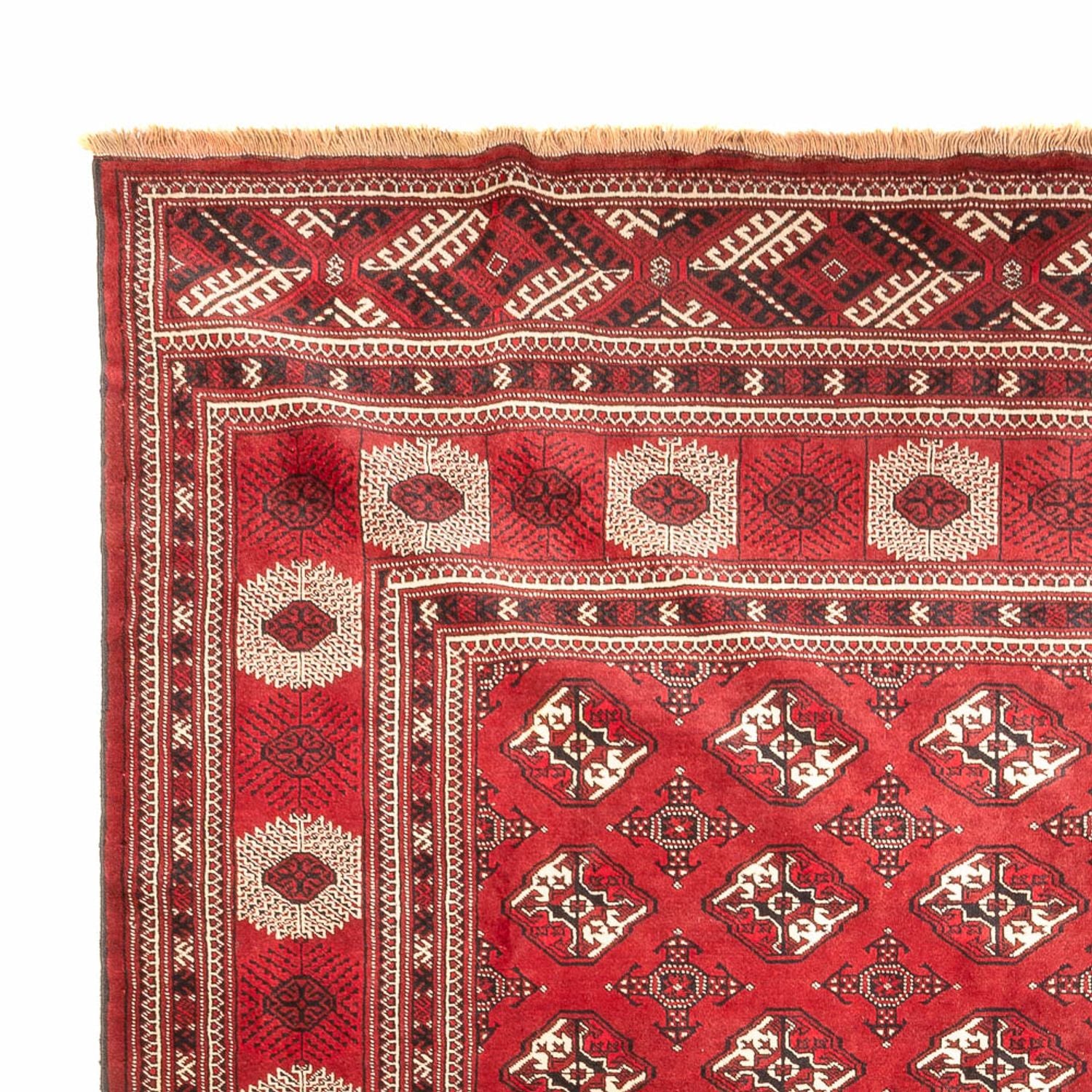 Turkaman Teppich - 391 x 270 cm - rot