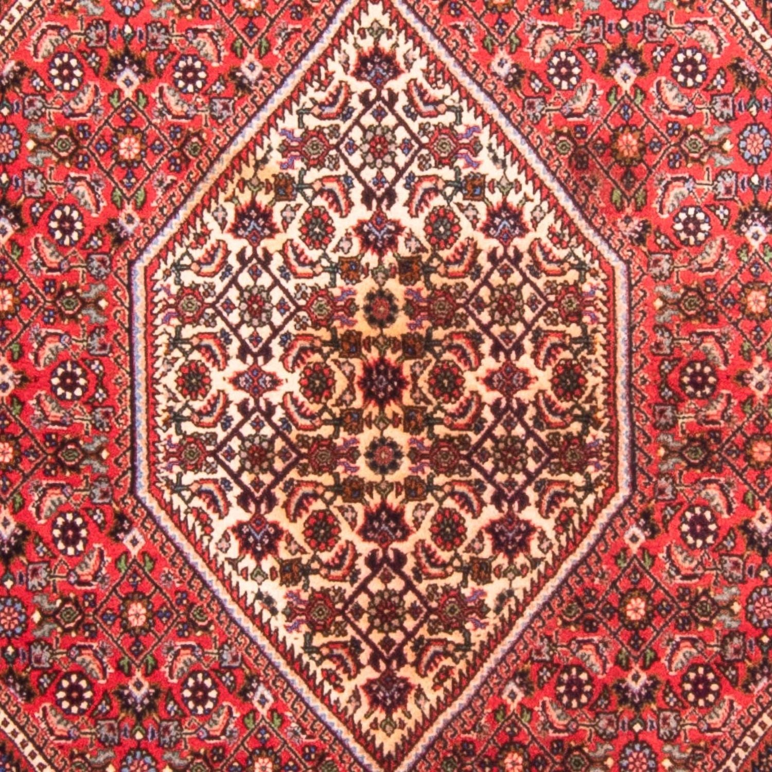 Perserteppich - Bidjar - 170 x 114 cm - rot