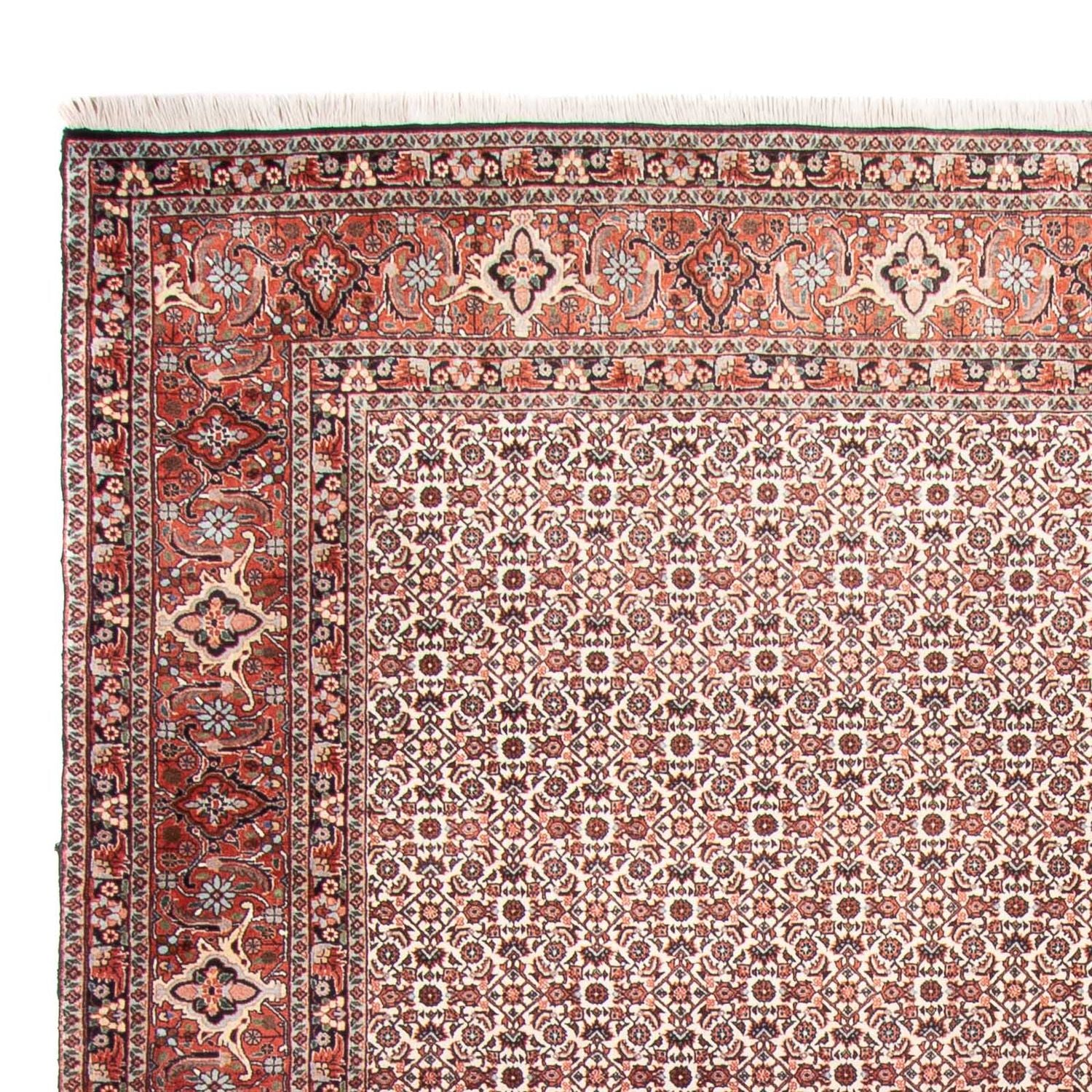 Perserteppich - Bidjar - 340 x 250 cm - beige