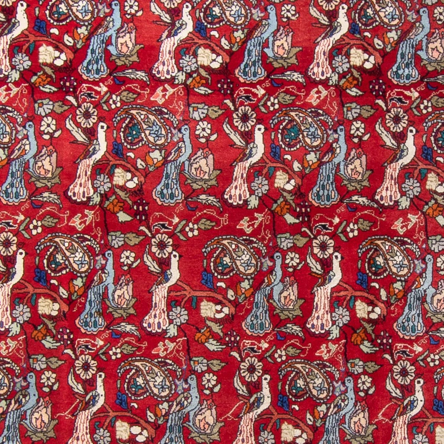 Perserteppich - Bidjar - 280 x 180 cm - rot