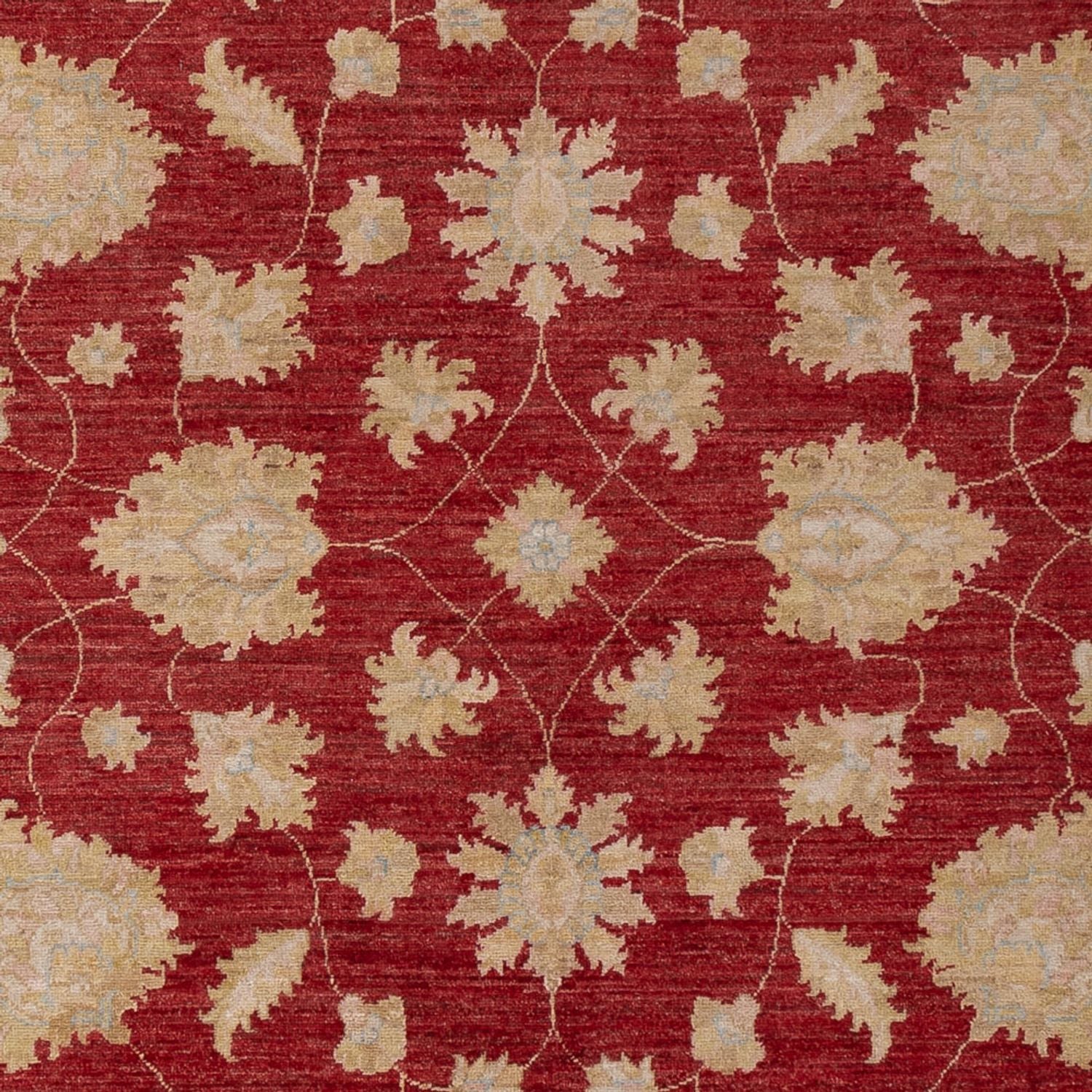 Ziegler Teppich - 299 x 206 cm - dunkelrot
