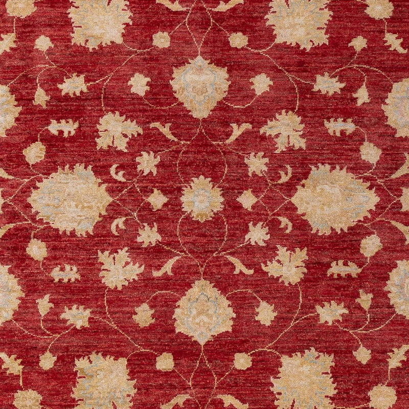 Ziegler Teppich - 297 x 209 cm - dunkelrot