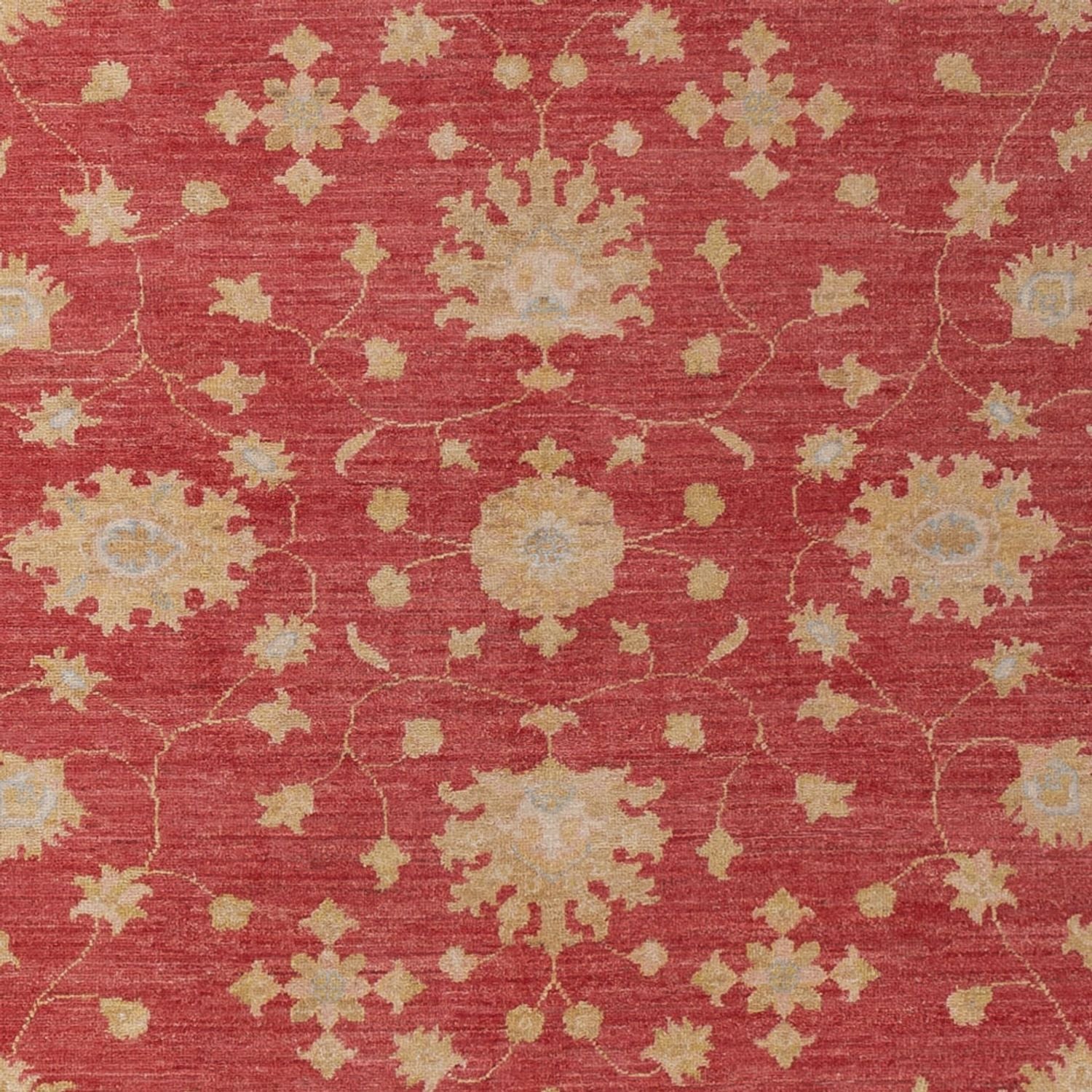 Ziegler Teppich - 296 x 203 cm - dunkelrot