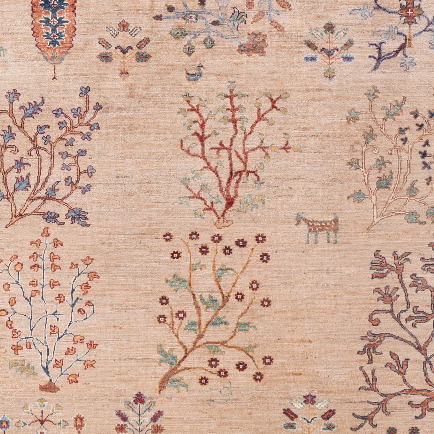 Ziegler Teppich - Ariana - 293 x 206 cm - beige