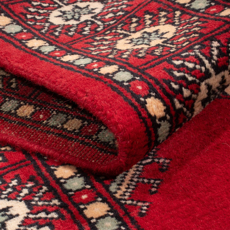 Läufer Pakistan - 255 x 77 cm - rot