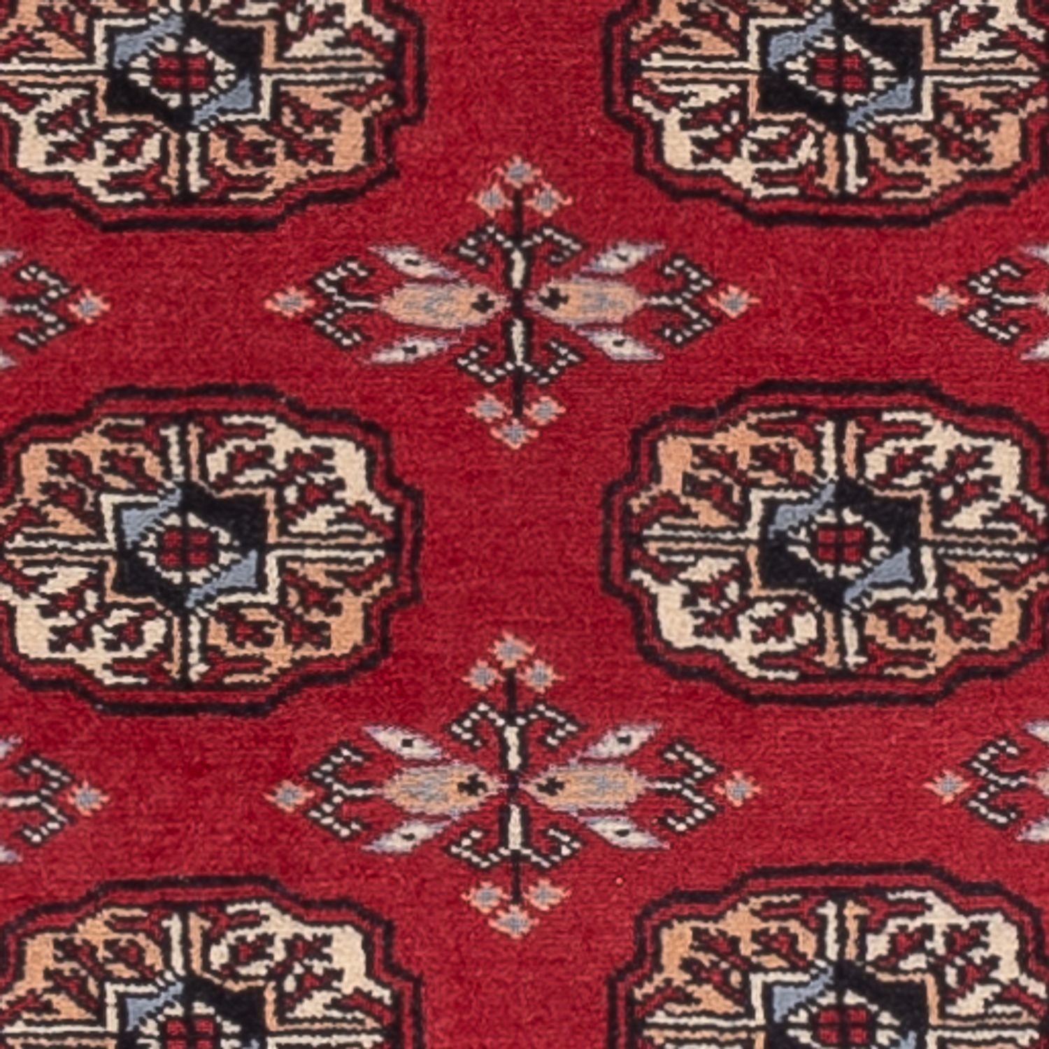 Läufer Pakistan - 224 x 80 cm - rot