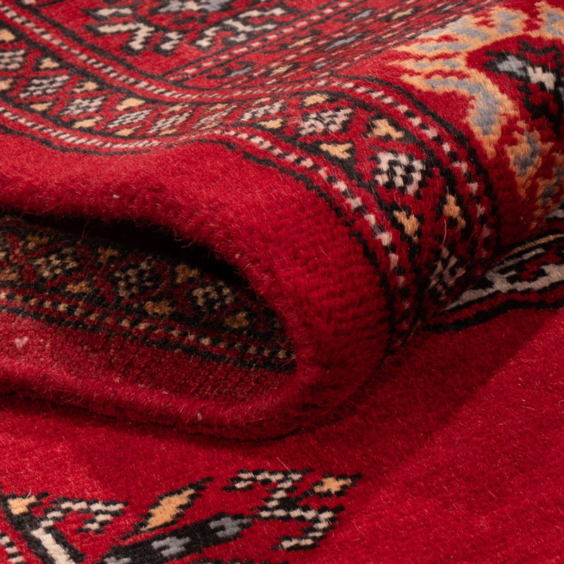 Läufer Pakistan - 259 x 80 cm - rot