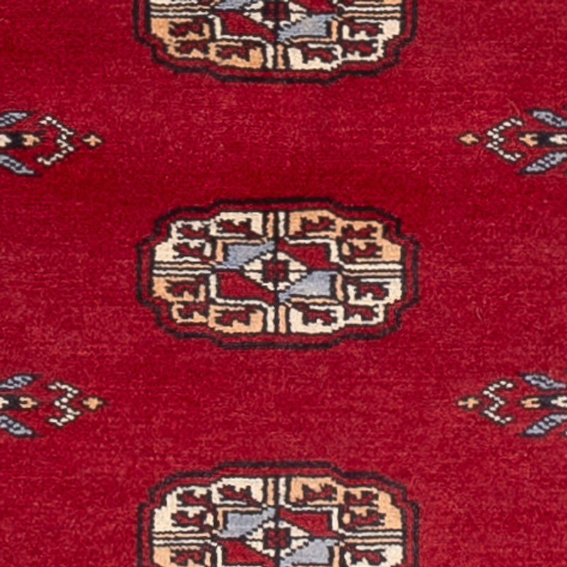 Läufer Pakistan - 239 x 79 cm - rot
