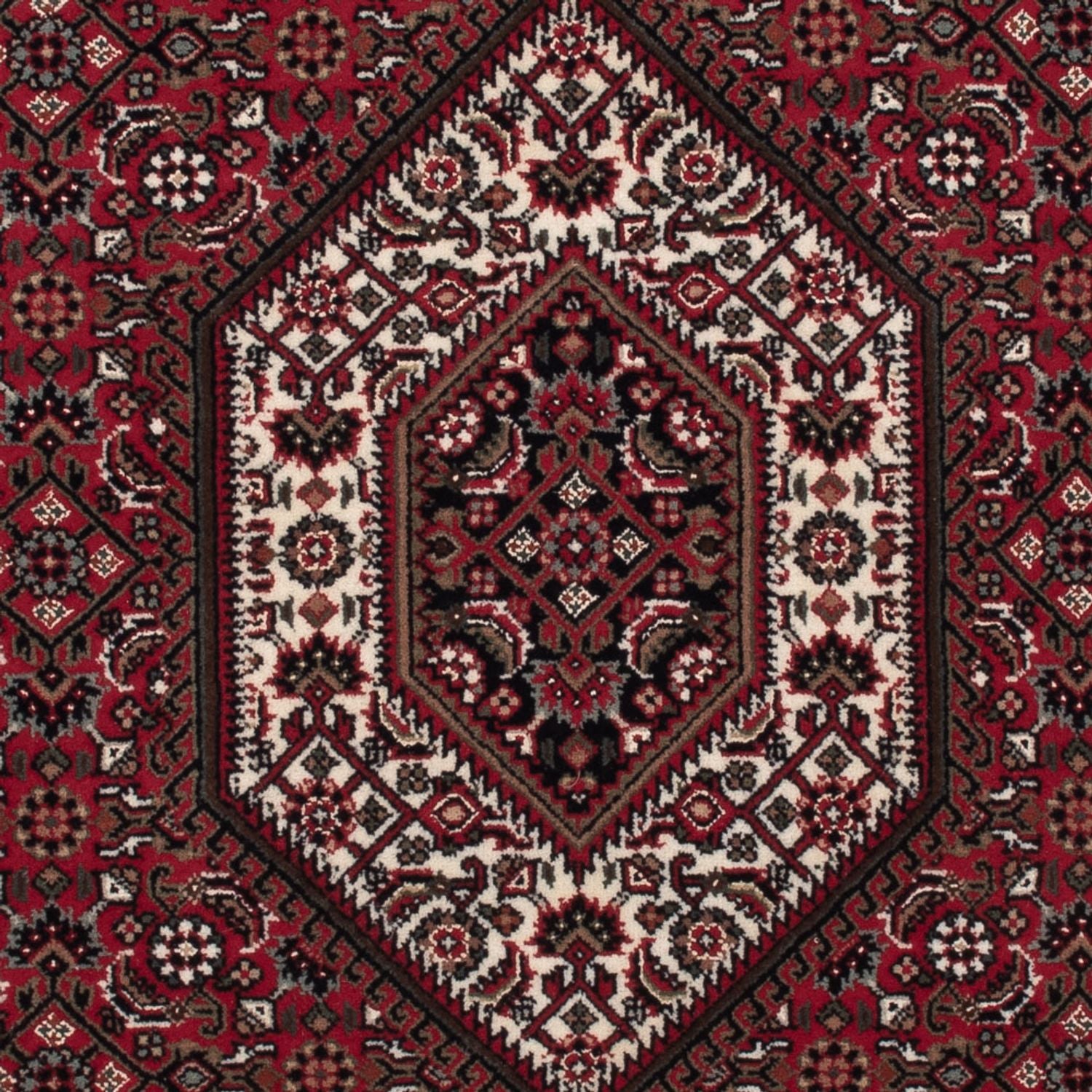 Orientteppich - Bidjar - Indus - 160 x 90 cm - dunkelbeige