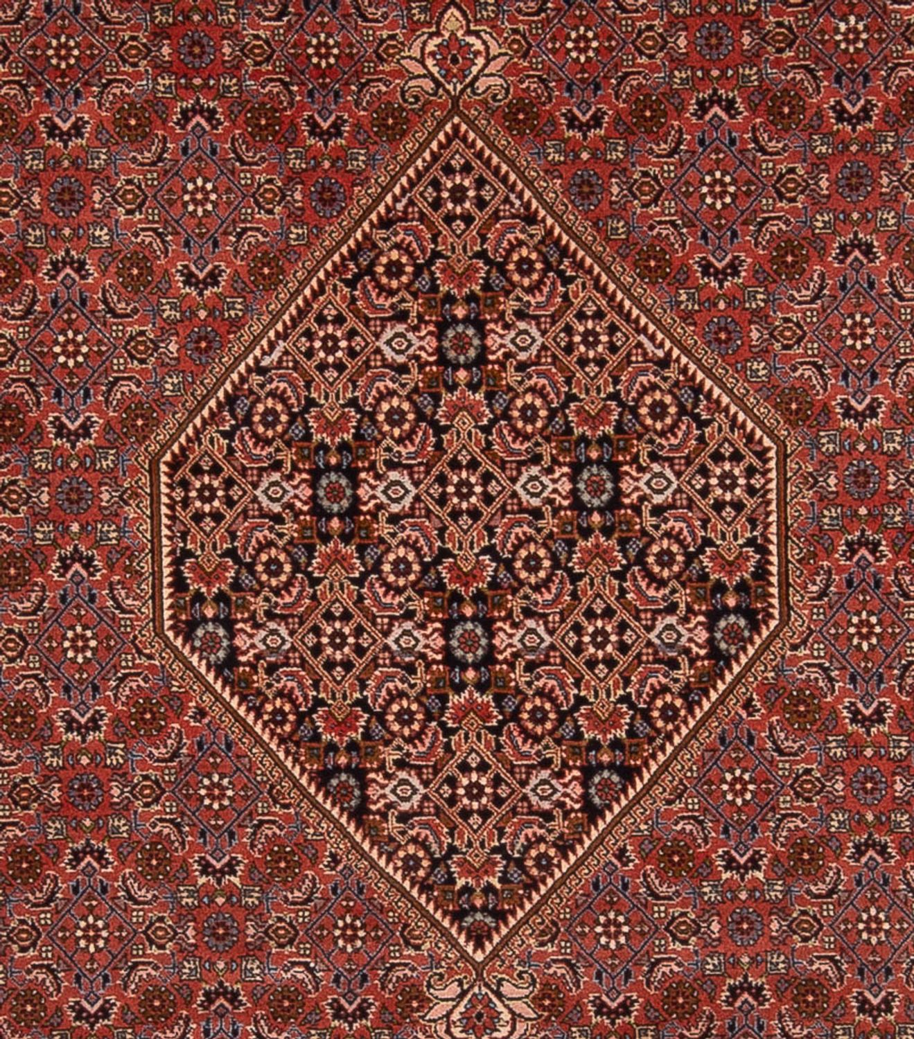 Perserteppich - Bidjar - Royal - 344 x 250 cm - rost