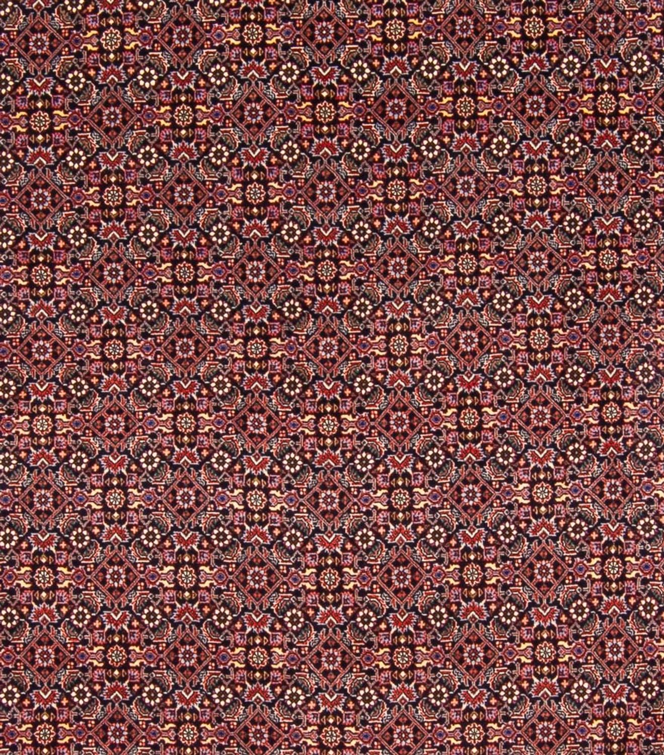 Perserteppich - Bidjar - Royal - 337 x 260 cm - dunkelblau