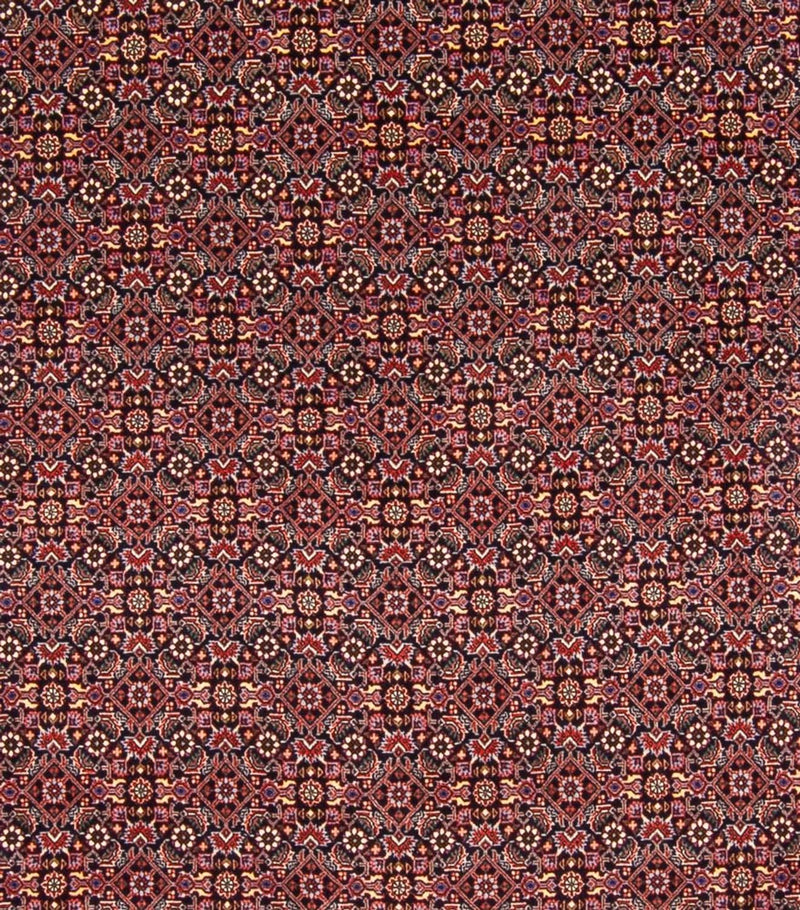 Perserteppich - Bidjar - Royal - 337 x 260 cm - dunkelblau