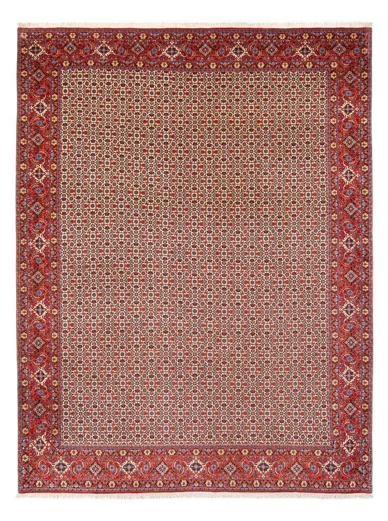 Perserteppich - Bidjar - Royal - 343 x 260 cm - creme
