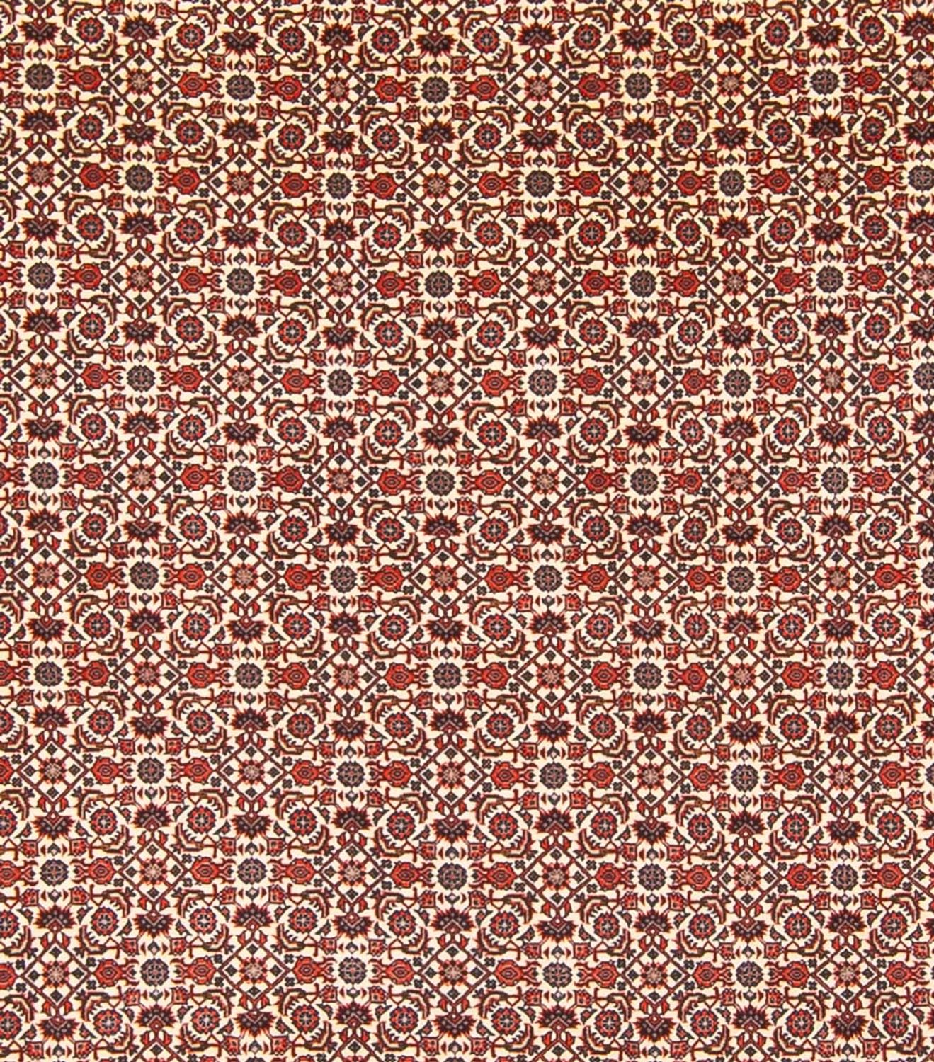 Perserteppich - Bidjar - Royal - 343 x 260 cm - creme