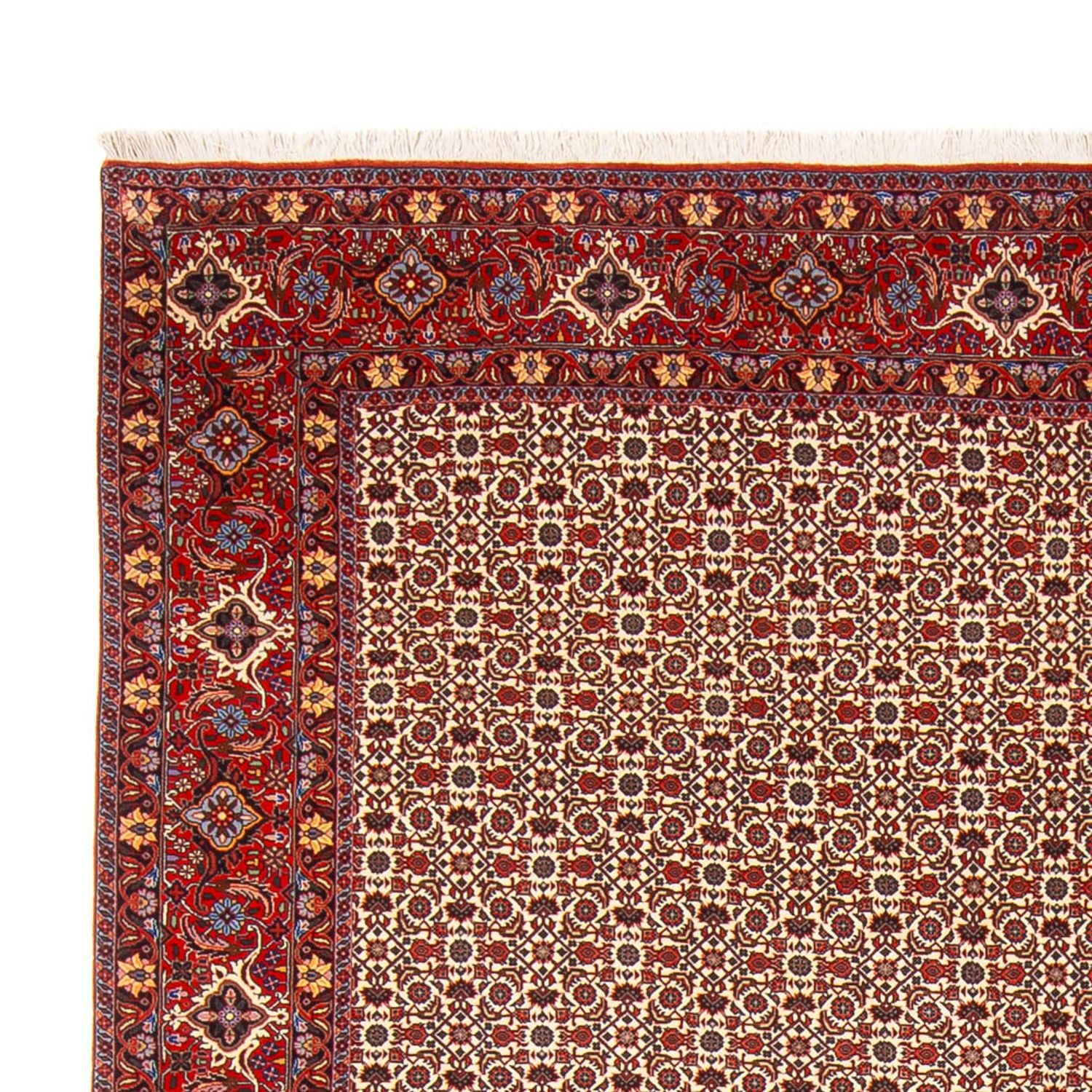 Perserteppich - Bidjar - Royal - 343 x 260 cm - creme