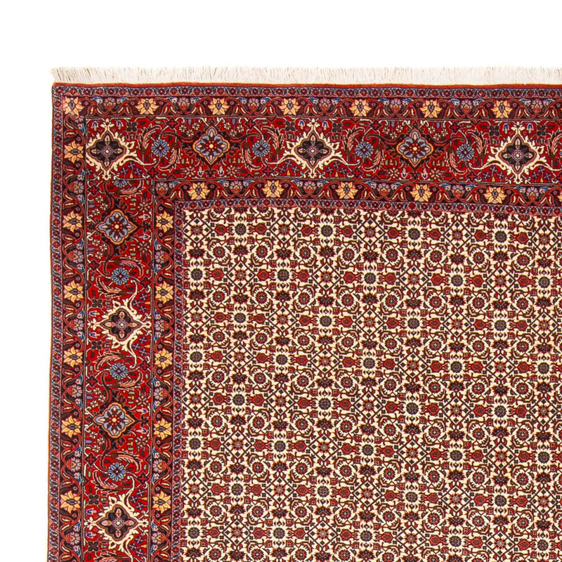 Perserteppich - Bidjar - Royal - 343 x 260 cm - creme