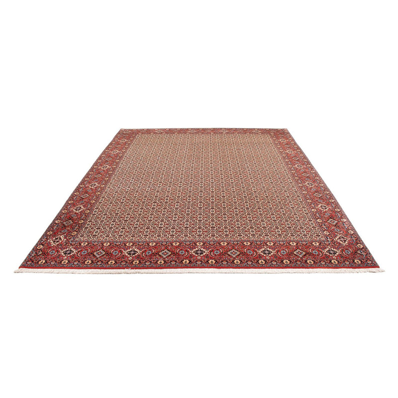 Perserteppich - Bidjar - Royal - 343 x 260 cm - creme