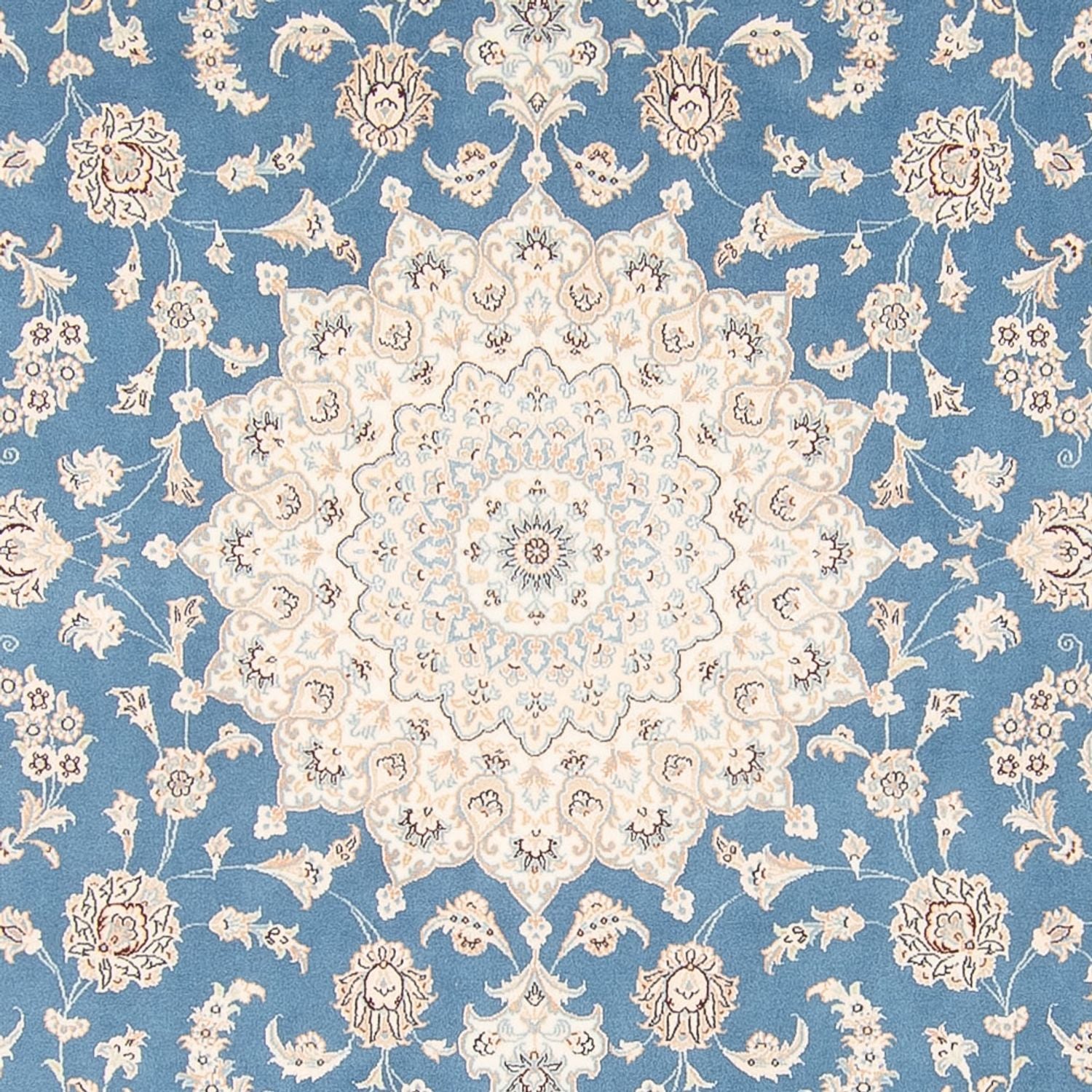 Perserteppich - Nain quadratisch  - 252 x 248 cm - hellblau