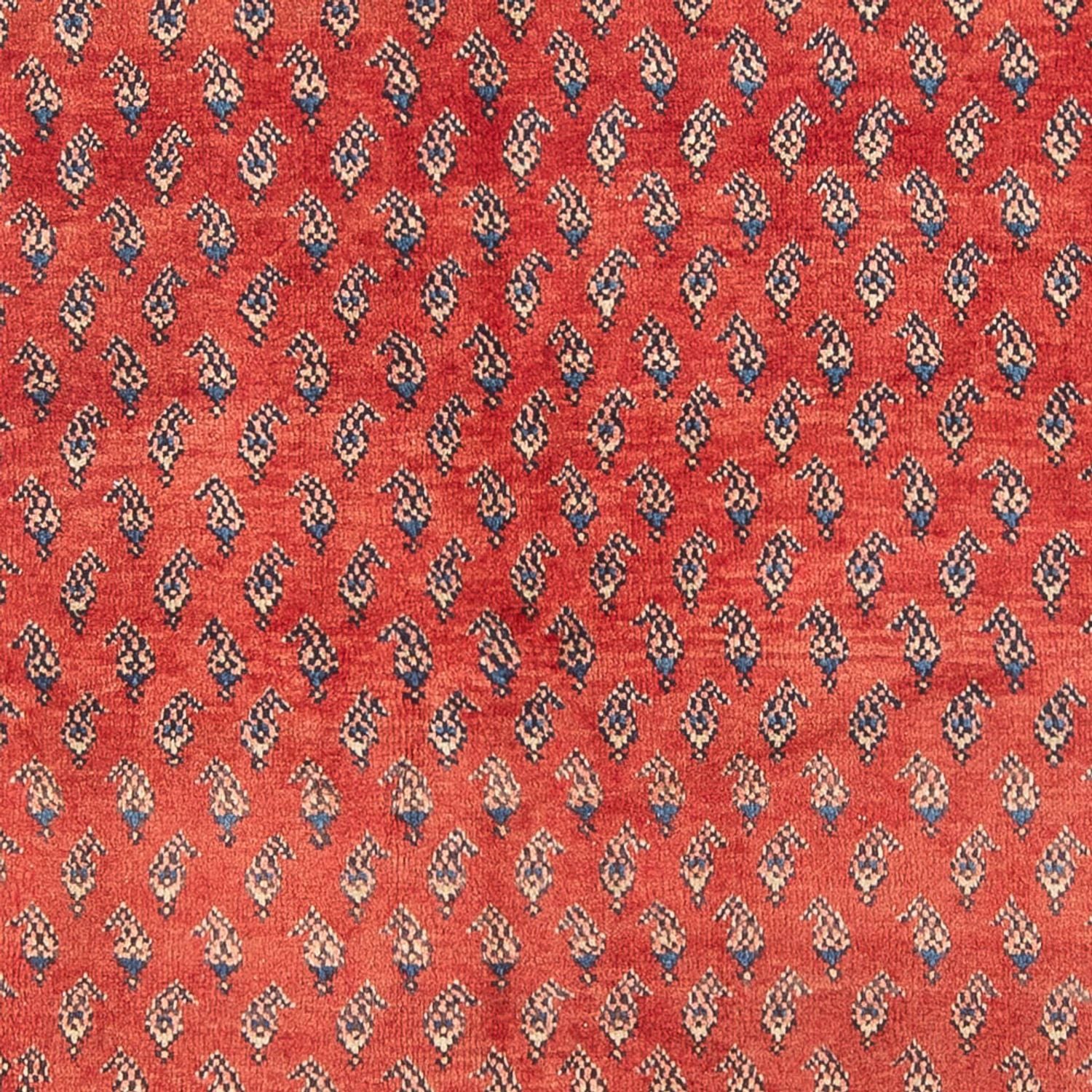 Perserteppich - Nomadic - Royal - 211 x 134 cm - rot