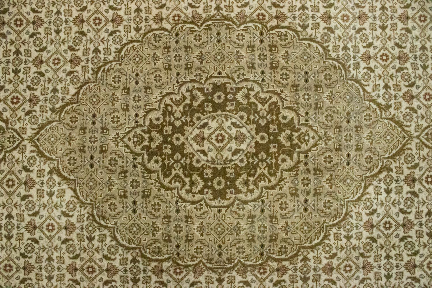 Orientteppich - Bidjar - Indus 297 x 201 cm - beige