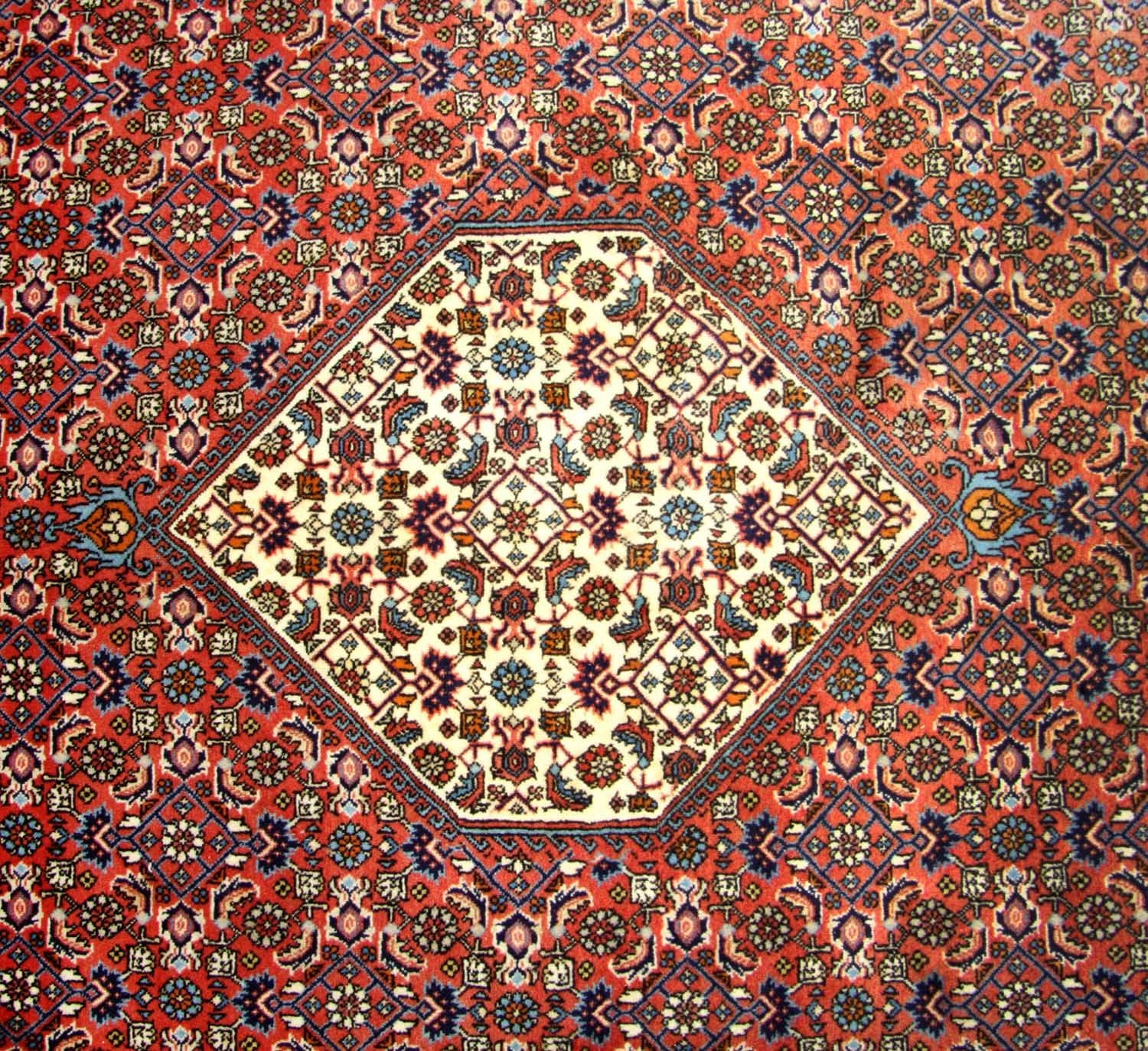 Perserteppich - Bidjar 260 x 247 cm - braun