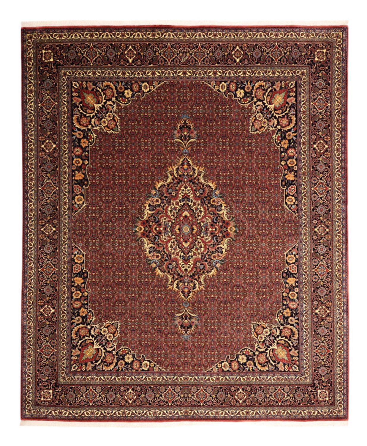 Perserteppich - Bidjar - Royal - 304 x 254 cm - terrakotta