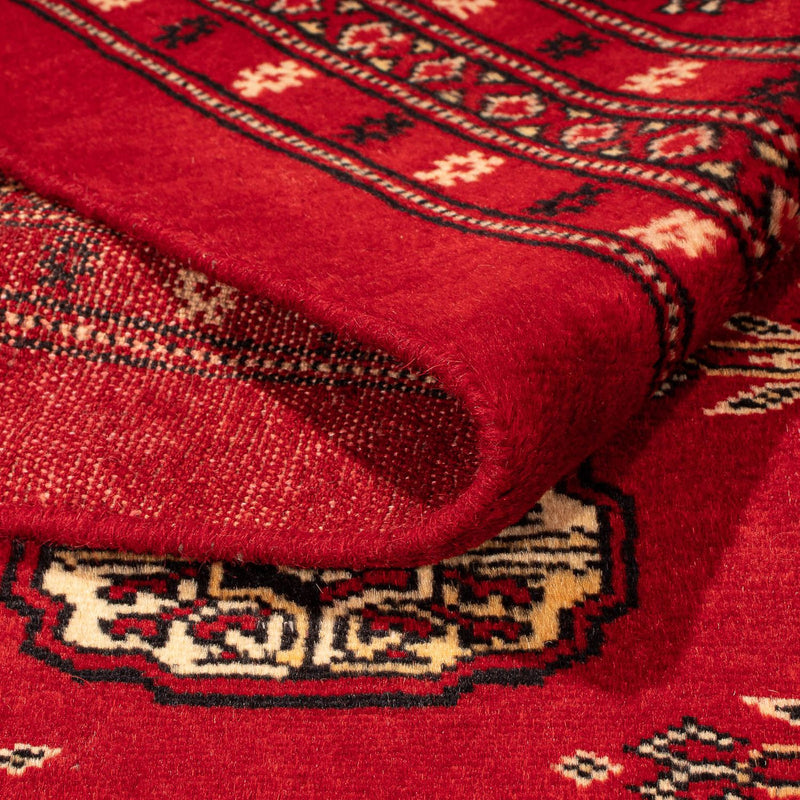 Pakistan Teppich 320 x 248 cm