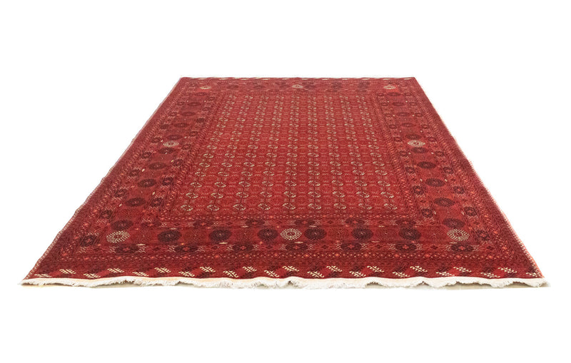 Afghan Teppich - Buchara 295 x 199 cm - dunkelrot