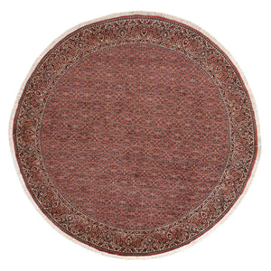 Perserteppich - Bidjar rund  - 255 x 255 cm - rost