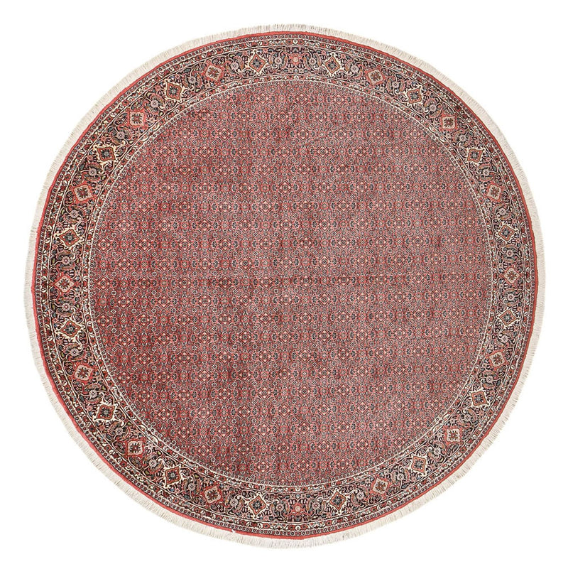 Perserteppich - Bidjar rund  - 300 x 300 cm - hellrot
