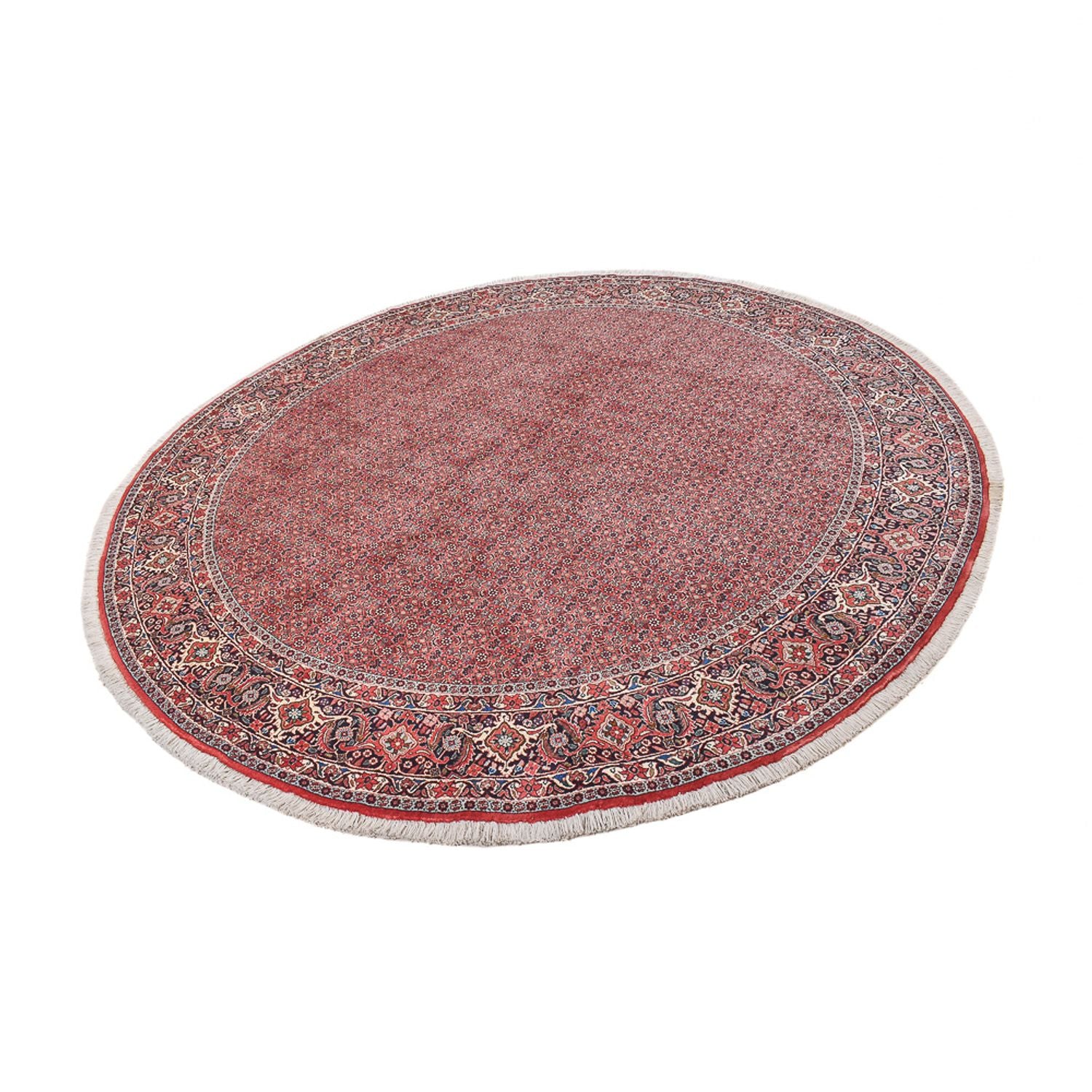 Perserteppich - Bidjar rund  - 300 x 300 cm - rost