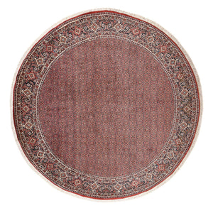 Perserteppich - Bidjar rund  - 300 x 300 cm - rost