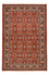 Perserteppich - Bidjar - 207 x 139 cm - rot