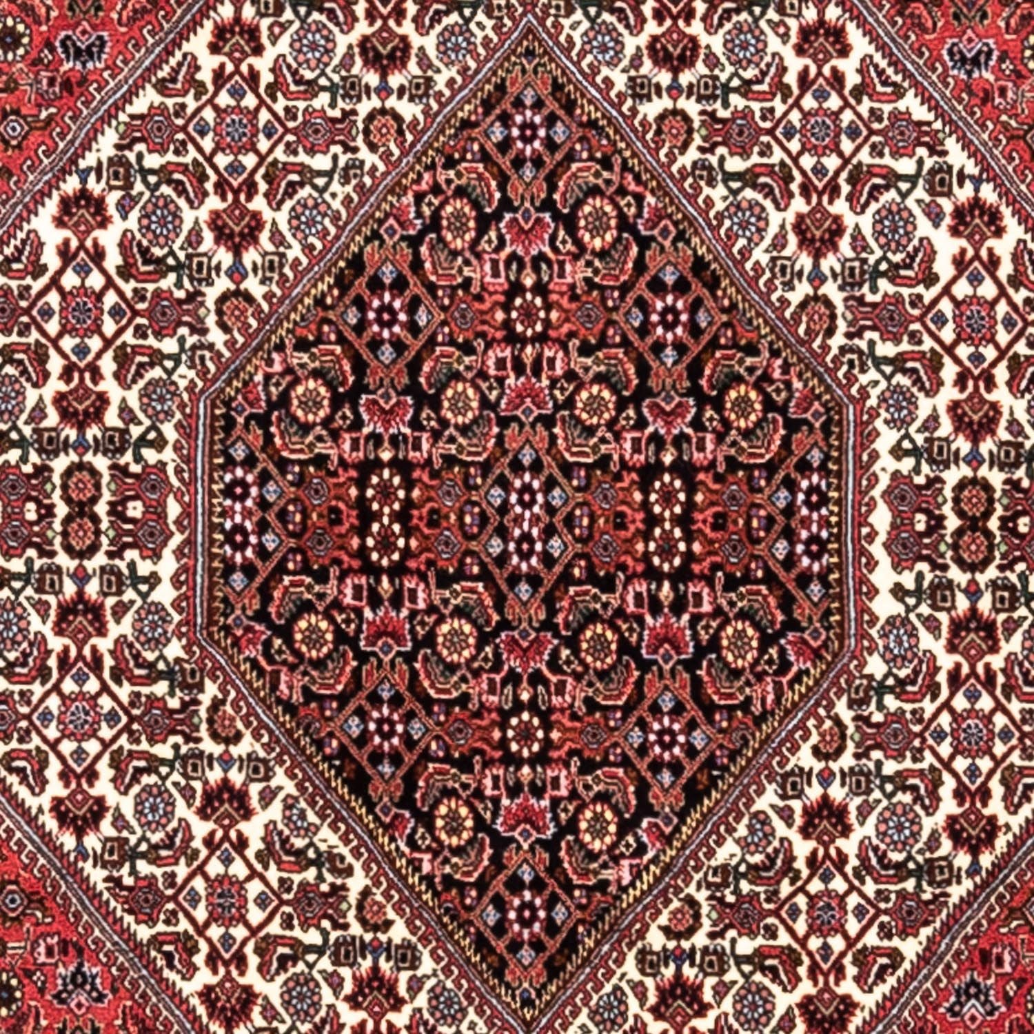 Perserteppich - Bidjar - Royal 300 x 200 cm - rot