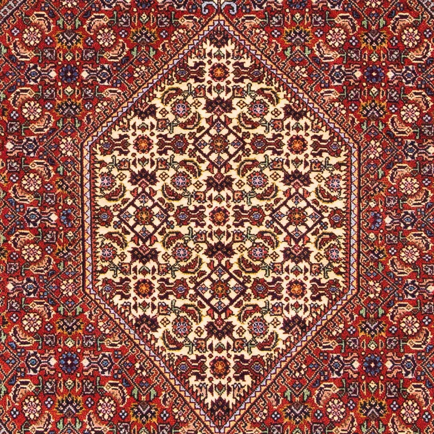 Perserteppich - Bidjar - Royal 168 x 108 cm