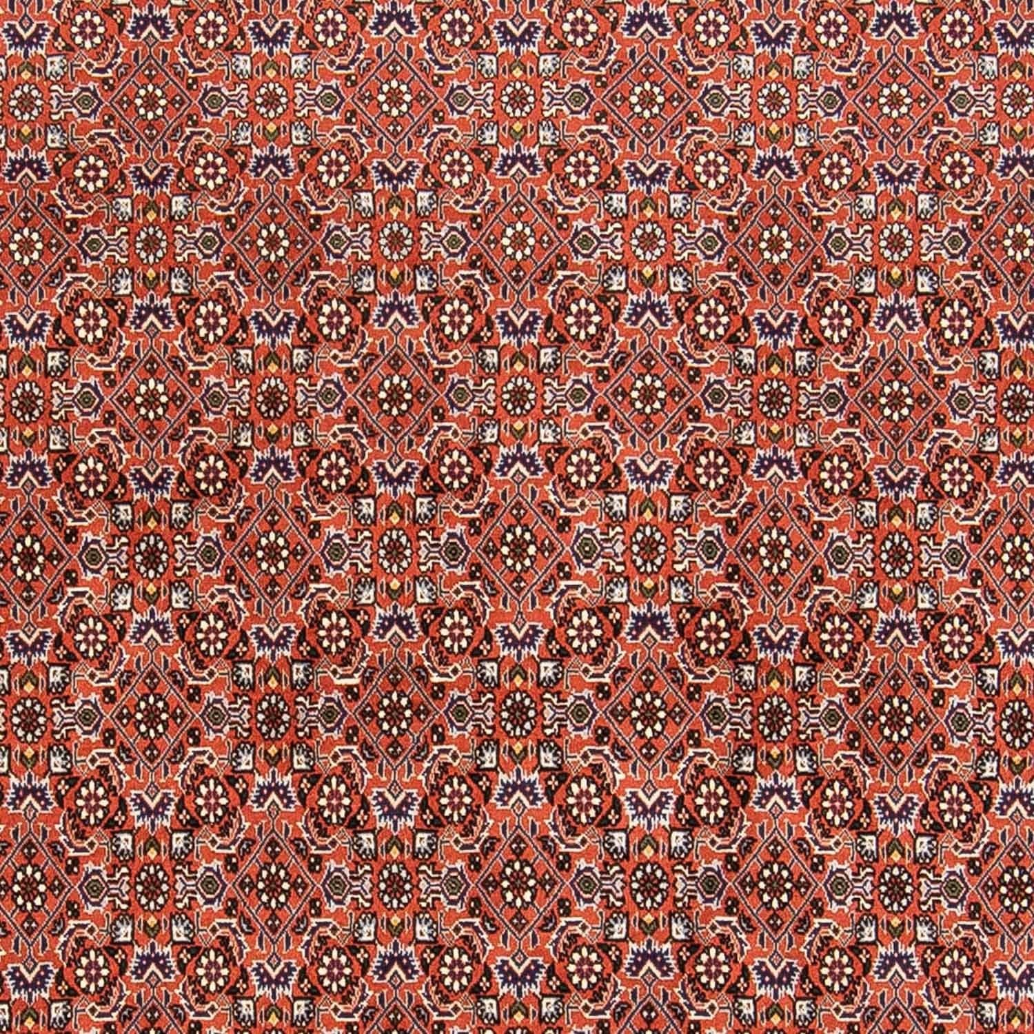 Perserteppich - Bidjar 230 x 168 cm
