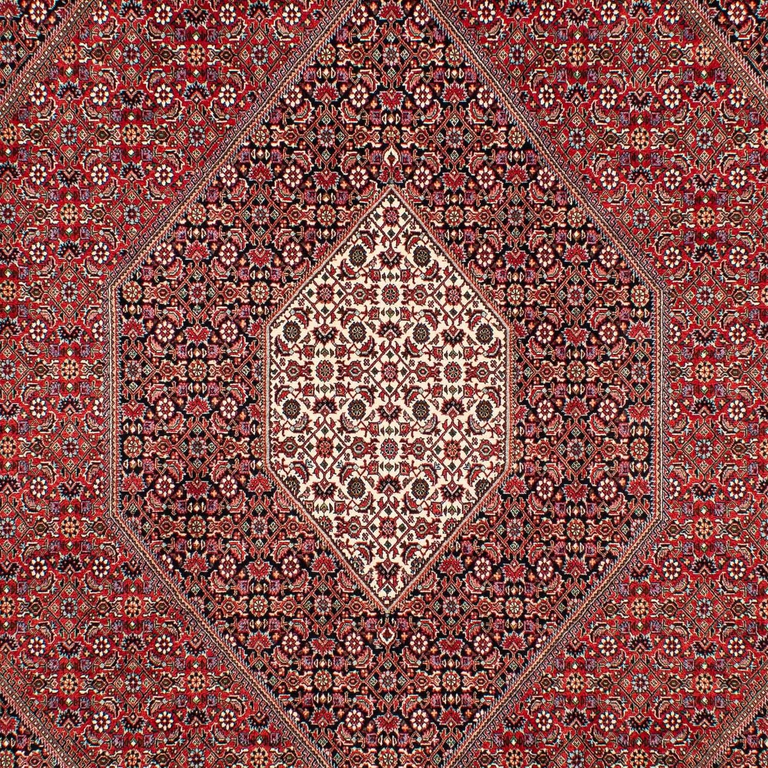 Perserteppich - Bidjar 307 x 205 cm