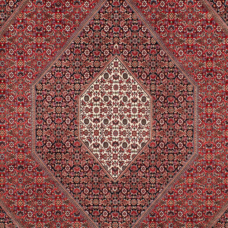 Perserteppich - Bidjar 307 x 205 cm