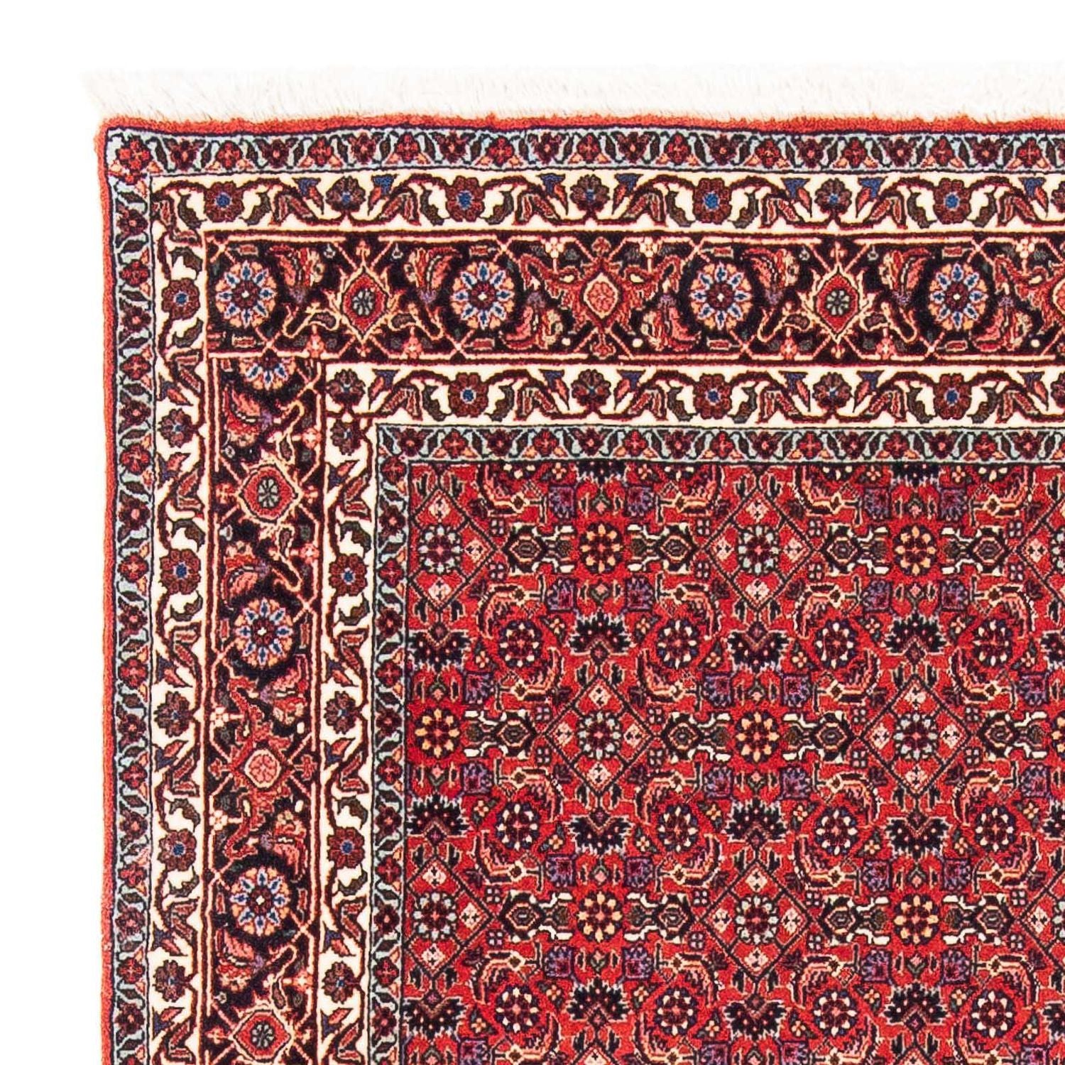 Perserteppich - Bidjar - Royal 126 x 124 cm Teppich Quadratisch