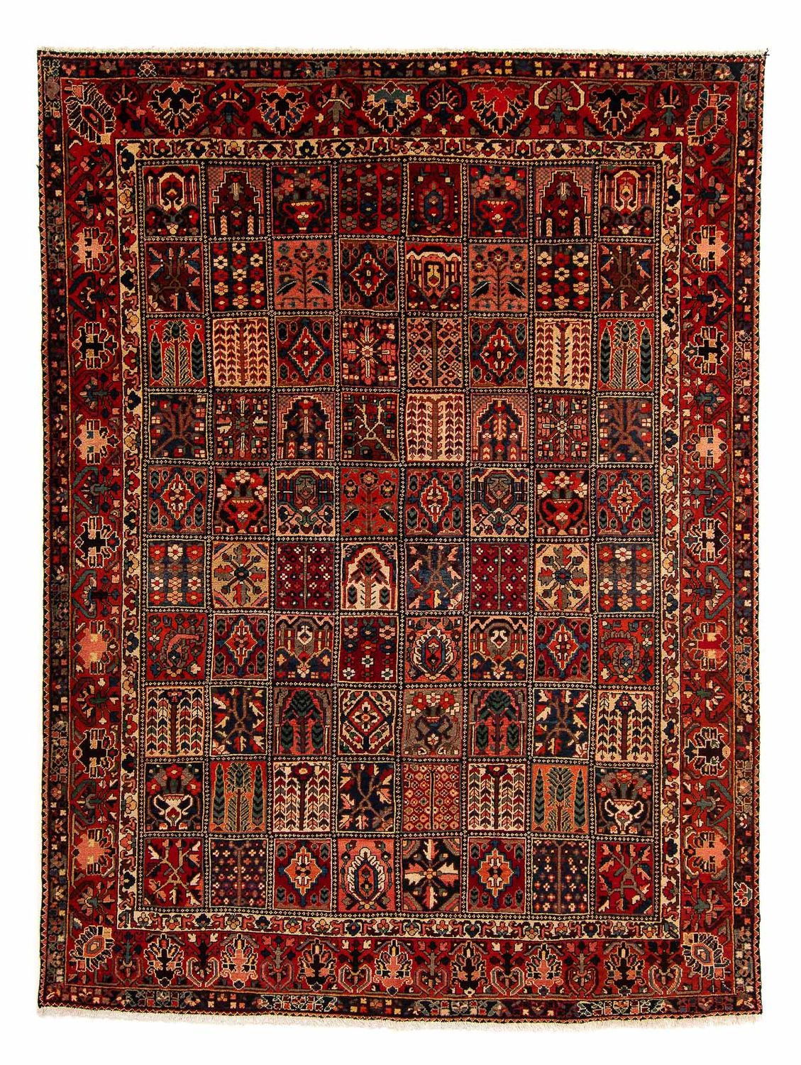 Ziegler Teppich - Bachtiari 351 x 302 cm